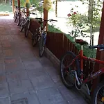 ива Szarnica