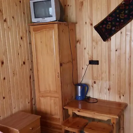 ива Sarnitsa