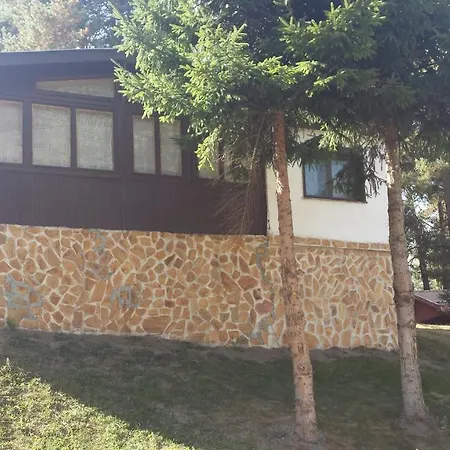 ива Sarnitsa