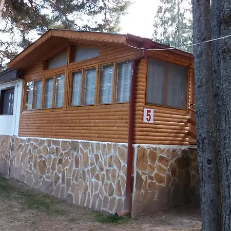 ива Sarnitsa