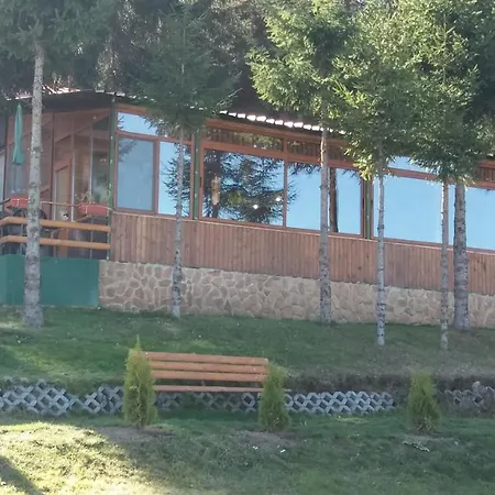 ива Sarnitsa