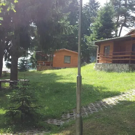 ива * Sarnitsa